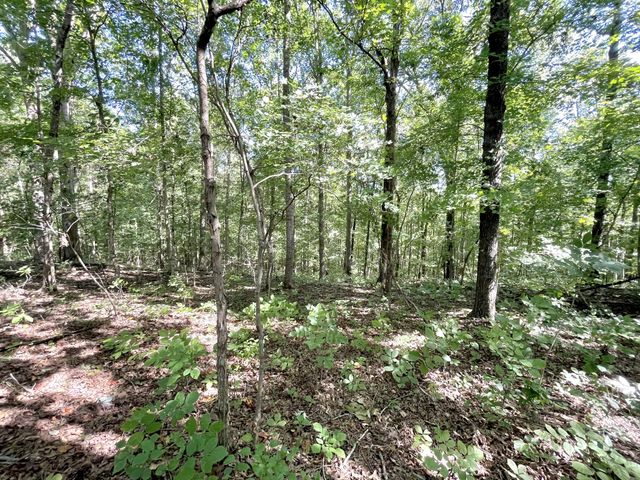 4261 Lake Rd, Woodlawn, TN 37191