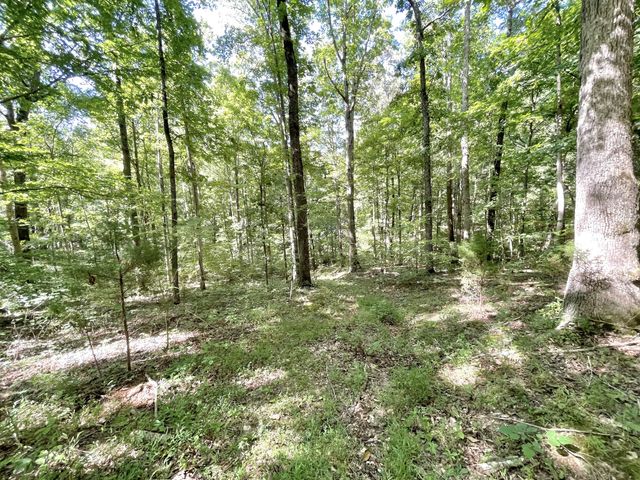 4261 Lake Rd, Woodlawn, TN 37191