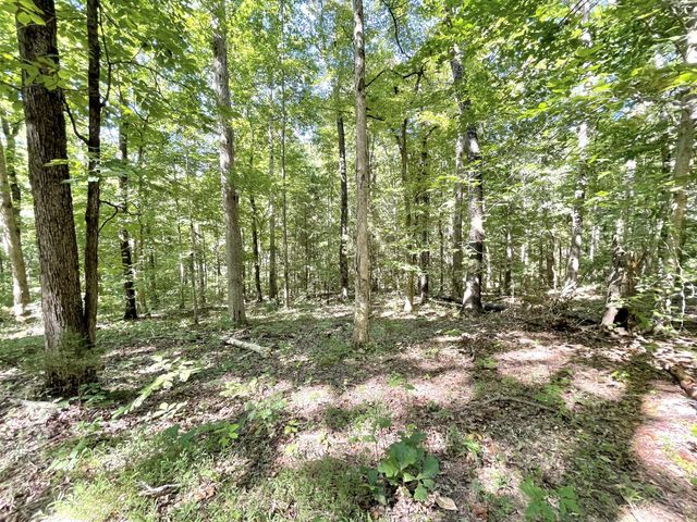 4261 Lake Rd, Woodlawn, TN 37191