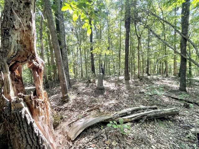 4261 Lake Rd, Woodlawn, TN 37191