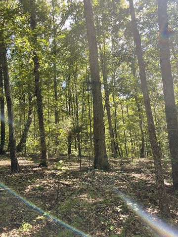 4261 Lake Rd, Woodlawn, TN 37191