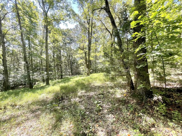 4261 Lake Rd, Woodlawn, TN 37191