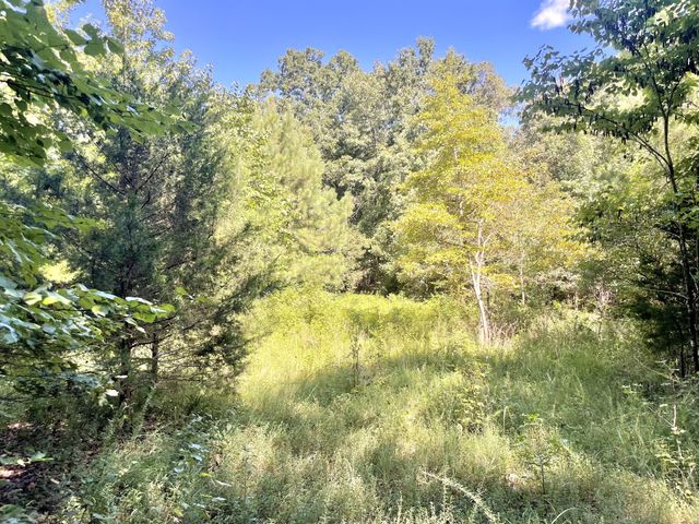 4261 Lake Rd, Woodlawn, TN 37191