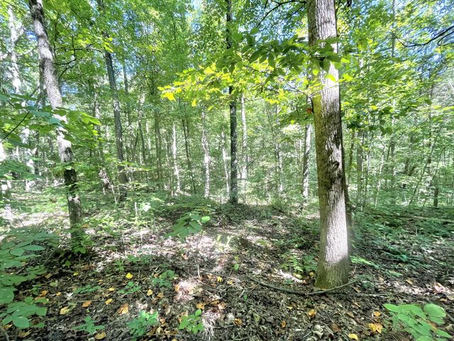 4261 Lake Rd, Woodlawn, TN 37191