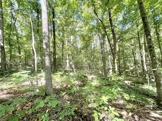 4261 Lake Rd, Woodlawn, TN 37191