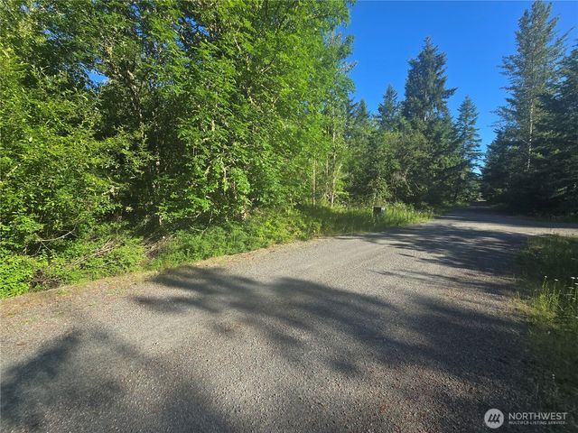 13823 Starflower Lane SE, Yelm, WA 98597