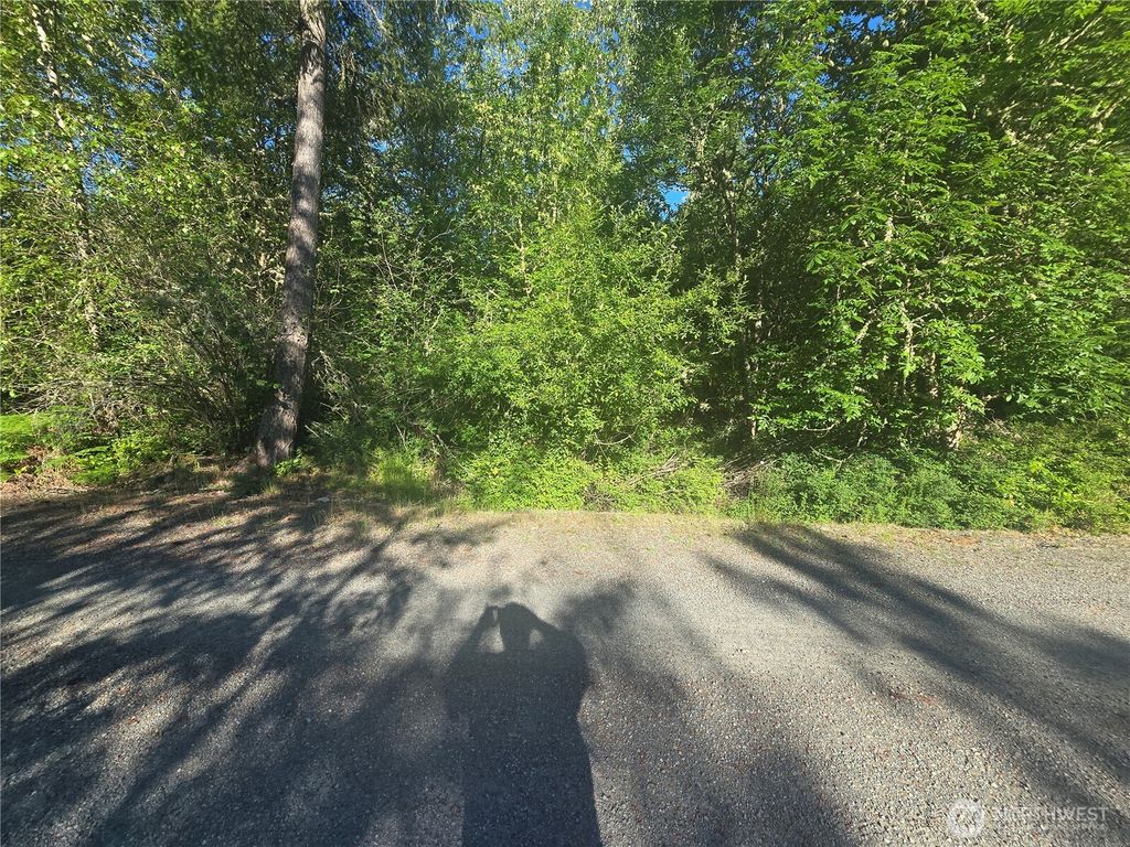 13823 Starflower Lane SE, Yelm, WA 98597