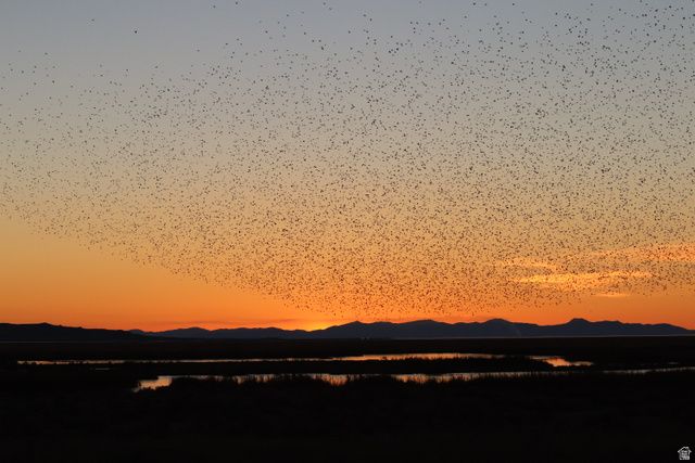 113 N 4950 W, West Point, UT 84015