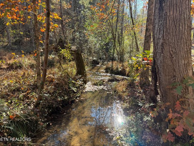 673 Reagan Valley Rd, Tellico Plains, TN 37385