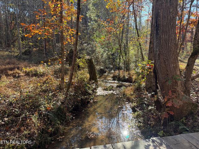 673 Reagan Valley Rd, Tellico Plains, TN 37385