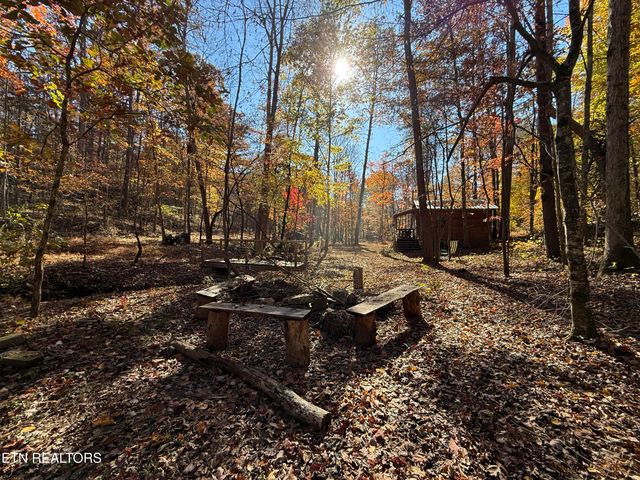 673 Reagan Valley Rd, Tellico Plains, TN 37385