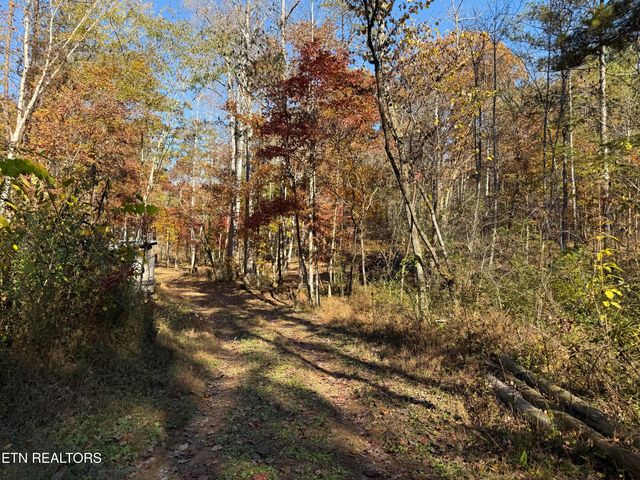 673 Reagan Valley Rd, Tellico Plains, TN 37385