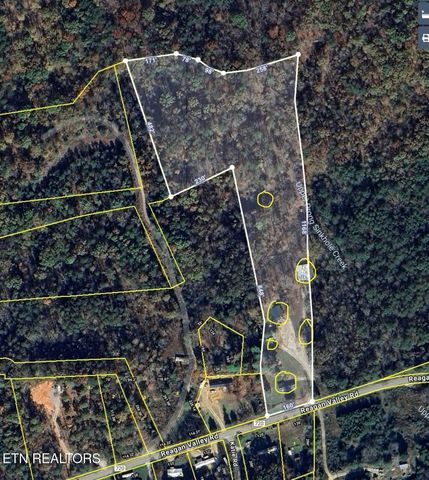 673 Reagan Valley Rd, Tellico Plains, TN 37385