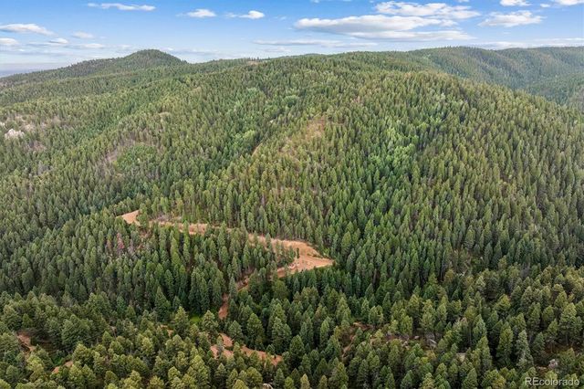 Forest Lane, Larkspur, CO 80118