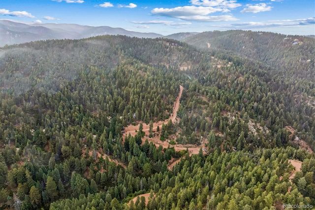 Forest Lane, Larkspur, CO 80118