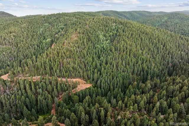 Forest Lane, Larkspur, CO 80118