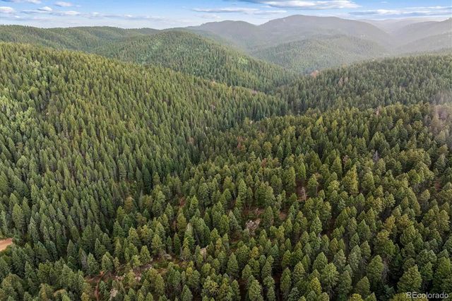 Forest Lane, Larkspur, CO 80118