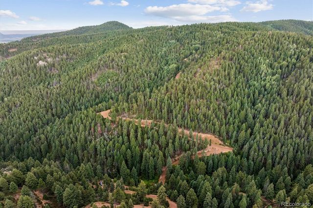 Forest Lane, Larkspur, CO 80118