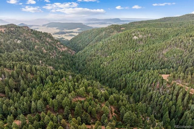 Forest Lane, Larkspur, CO 80118