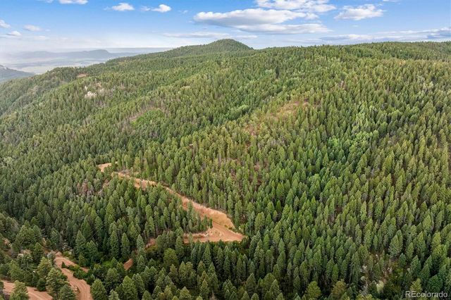 Forest Lane, Larkspur, CO 80118