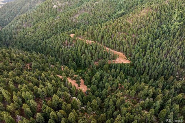 Forest Lane, Larkspur, CO 80118