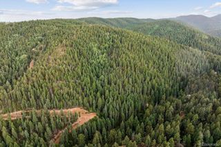 Forest Lane, Larkspur, CO 80118