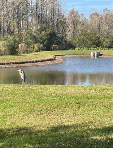 19238 WEYMOUTH DRIVE 1, Land O Lakes, FL 34638