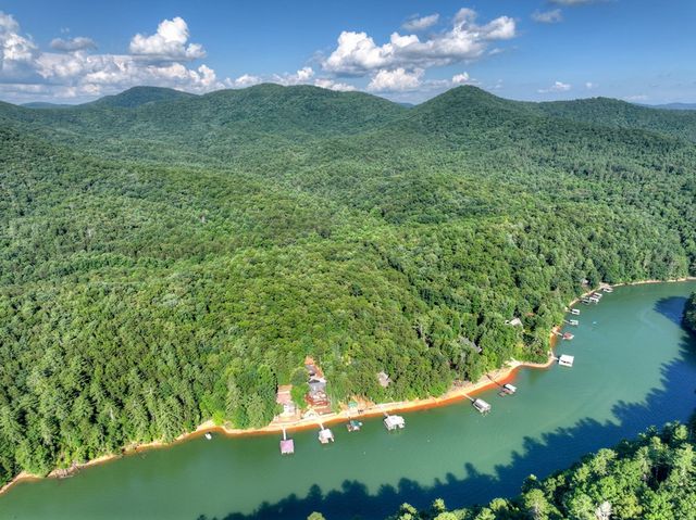 118 Tilley Bend Trail, Blue Ridge, GA 30513