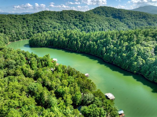 118 Tilley Bend Trail, Blue Ridge, GA 30513