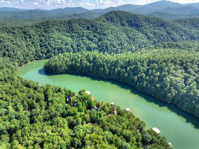 118 Tilley Bend Trail, Blue Ridge, GA 30513