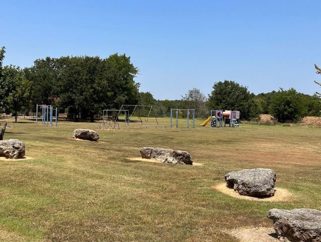 1099 Deerfield Drive, Wills Point, TX 75169