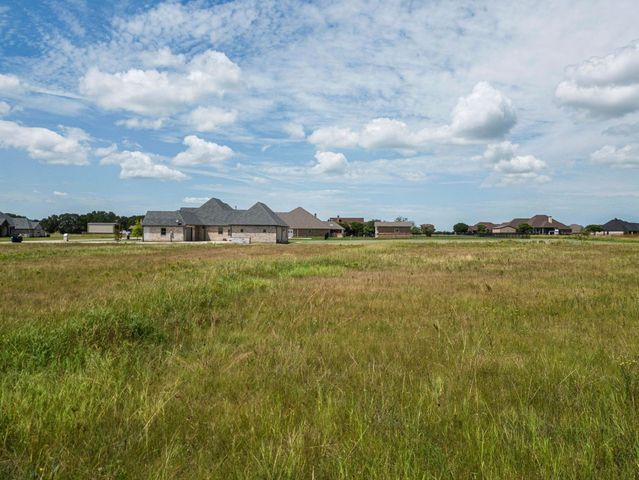 1099 Deerfield Drive, Wills Point, TX 75169