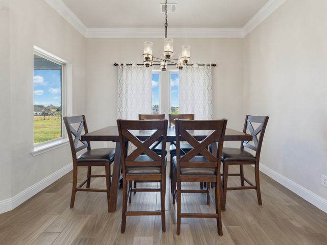 139 Bluff Ridge Court, Paradise, TX 76073