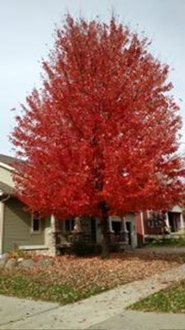 2809 Interlaken Pass, Madison, WI 53719