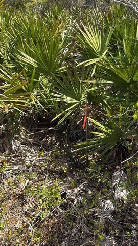 6110 COUNTY ROAD 17 S, Sebring, FL 33876