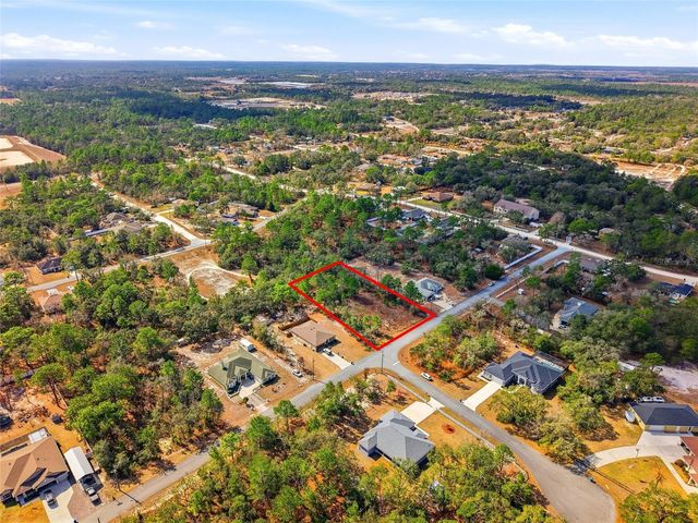 11263 MEXICAN CANARY AVENUE, Weeki Wachee, FL 34614