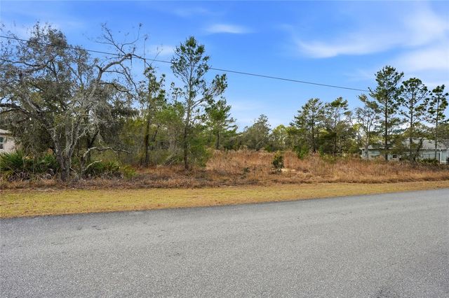 11263 MEXICAN CANARY AVENUE, Weeki Wachee, FL 34614