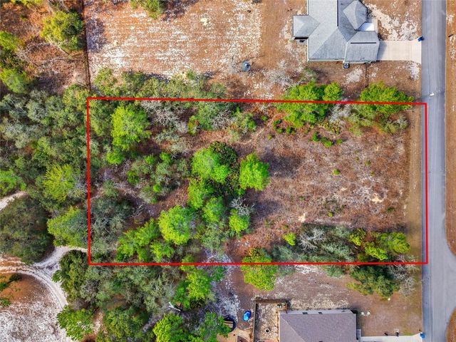 11263 MEXICAN CANARY AVENUE, Weeki Wachee, FL 34614