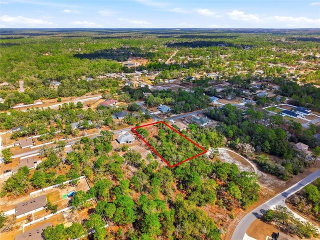 11263 MEXICAN CANARY AVENUE, Weeki Wachee, FL 34614