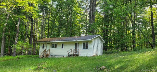 52 Luxton Lake Road, Narrowsburg, NY 12764