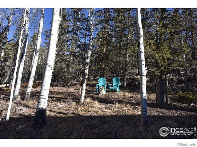 972 N Quarter Horse Road, Jefferson, CO 80456