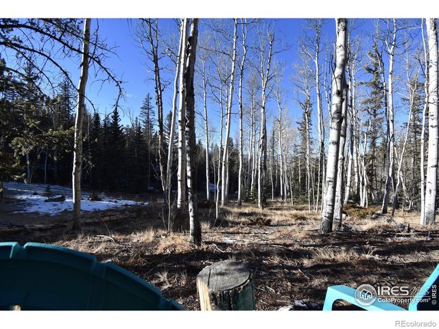 972 N Quarter Horse Road, Jefferson, CO 80456