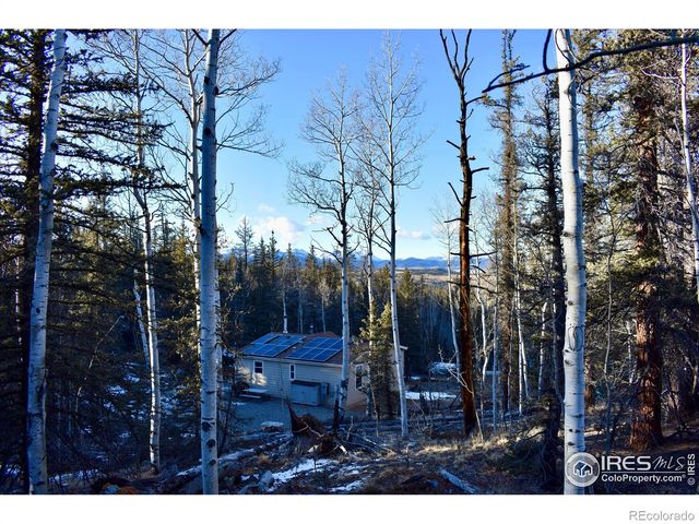 972 N Quarter Horse Road, Jefferson, CO 80456