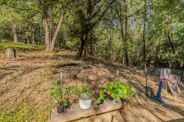20911 French Gulch Rd, Pine Grove, CA 95665
