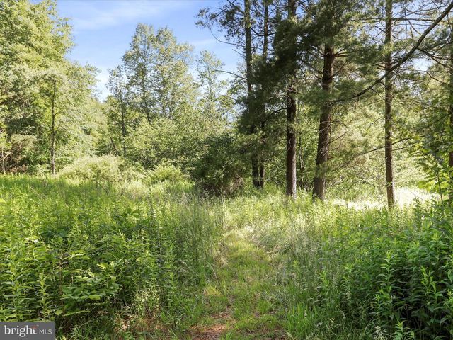 2306 & ADJACENT LOT JENNINGS RD, Grantsville, MD 21536