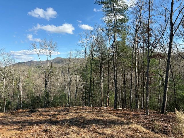 Lot 86 Lookout Ridge, Mineral Bluff, GA 30559