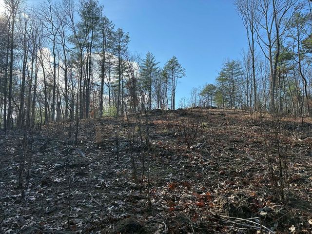 Lot 86 Lookout Ridge, Mineral Bluff, GA 30559