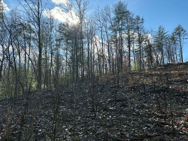 Lot 86 Lookout Ridge, Mineral Bluff, GA 30559