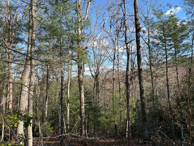 Lot 86 Lookout Ridge, Mineral Bluff, GA 30559