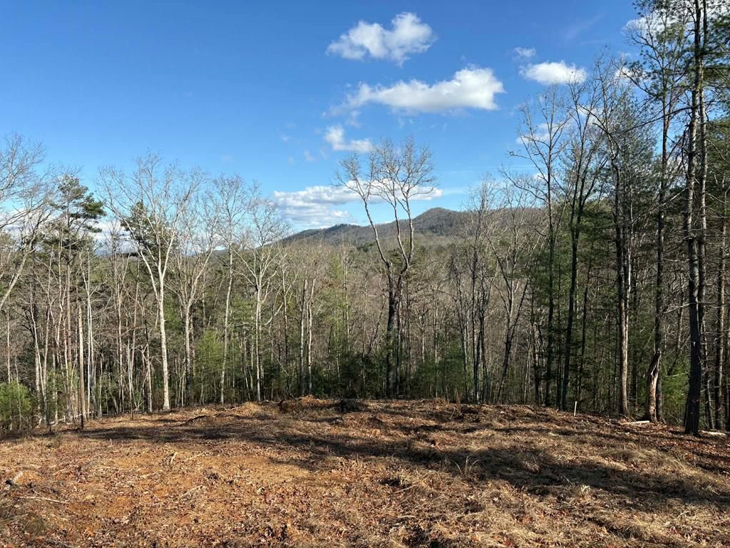 Lot 86 Lookout Ridge, Mineral Bluff, GA 30559